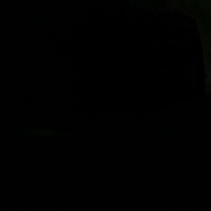 Meet your Posher, Felix